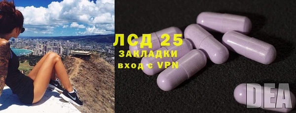 спайс Баксан