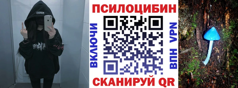 купить цена Лобня blacksprut Псилоцибиновые грибы MAGIC MUSHROOMS